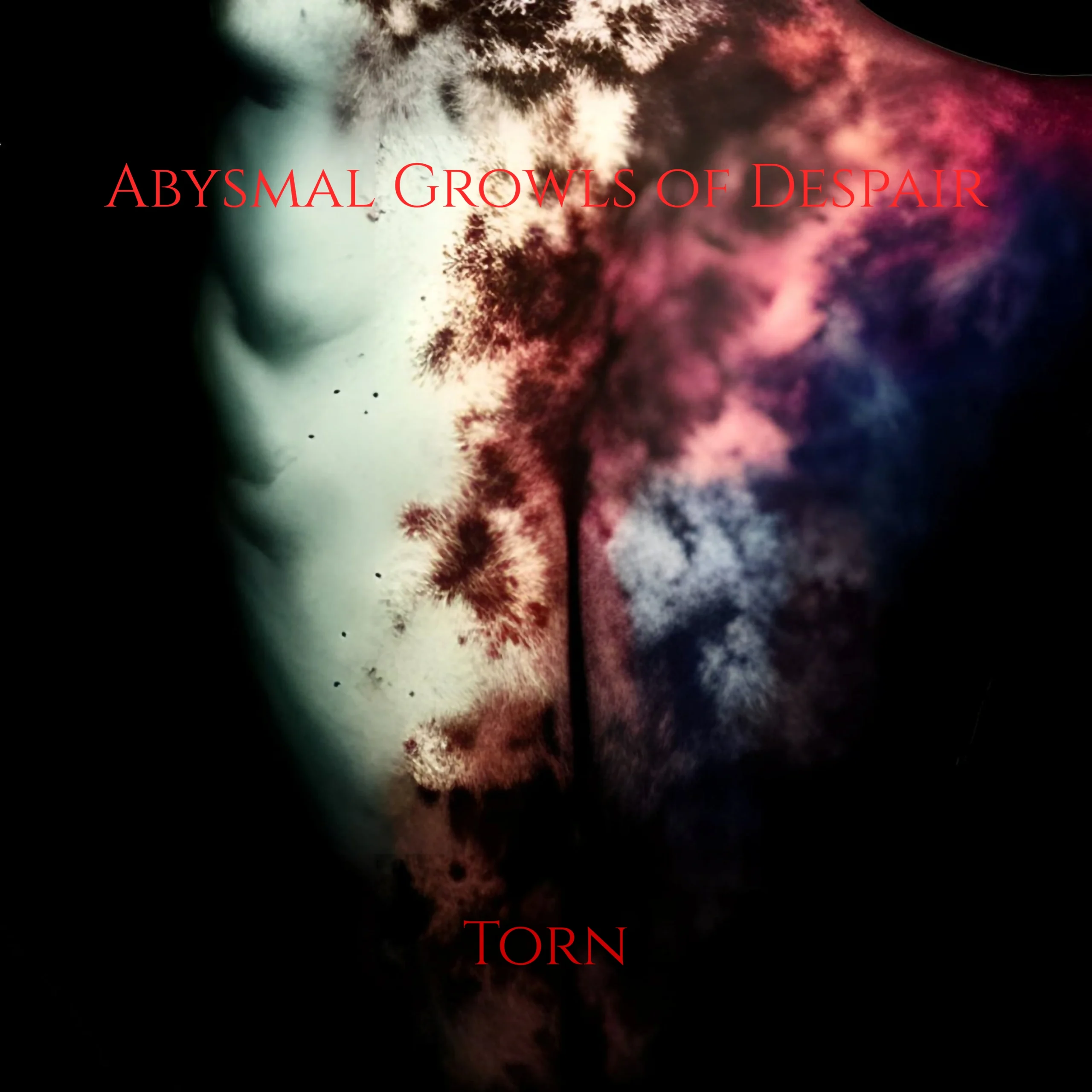 Abysmal Growls of Despair Confronts Cancer and Grief on Funeral Doom Album Torn