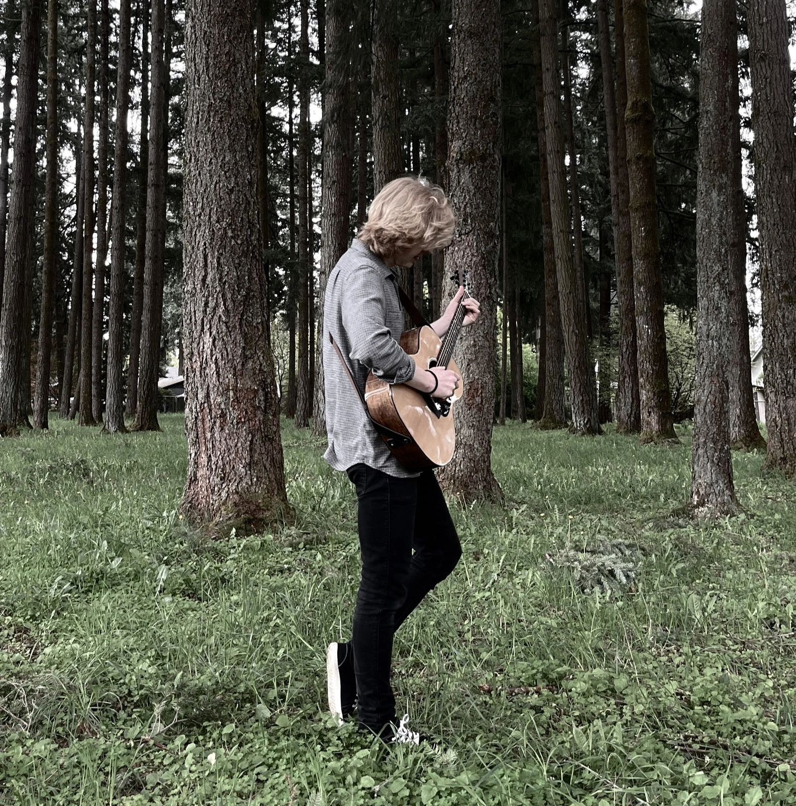 Havre De Grace Trades Quiet for Range on Second Album Into the Wild