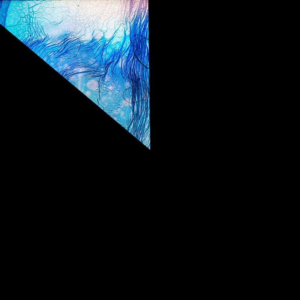 Aux Volta Generic Gazelle Brings Future Garage and Glitchy Jungle Together